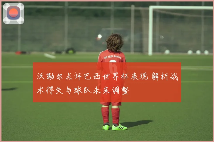 沃勒尔点评巴西世界杯表现 解析战术得失与球队未来调整