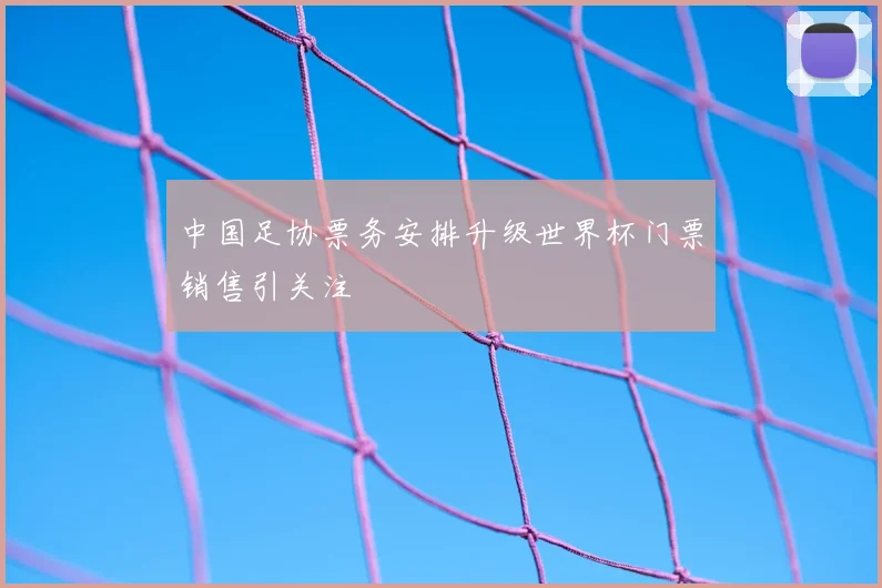 中国足协票务安排升级世界杯门票销售引关注